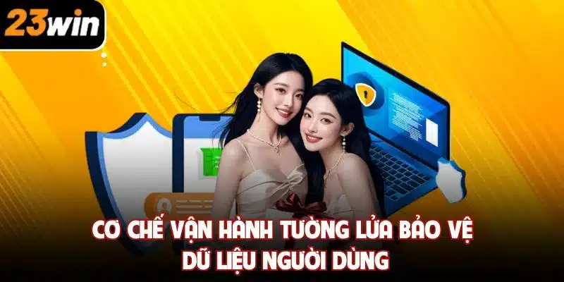 Cơ chế vận hành tường lửa bảo vệ dữ liệu người dùng