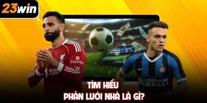 Tìm hiểu phản lưới nhà là gì?